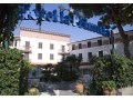 Details : Elba Hotel La Primula 